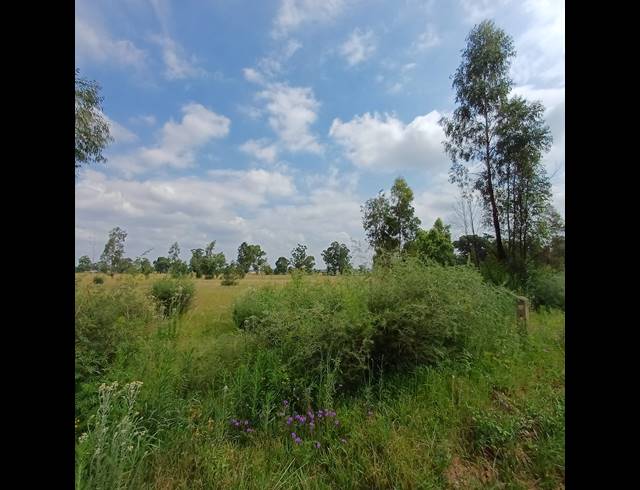 87,023M² VACANT LAND FOR SALE IN OPHIR AH